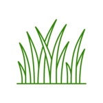 healthy-icon